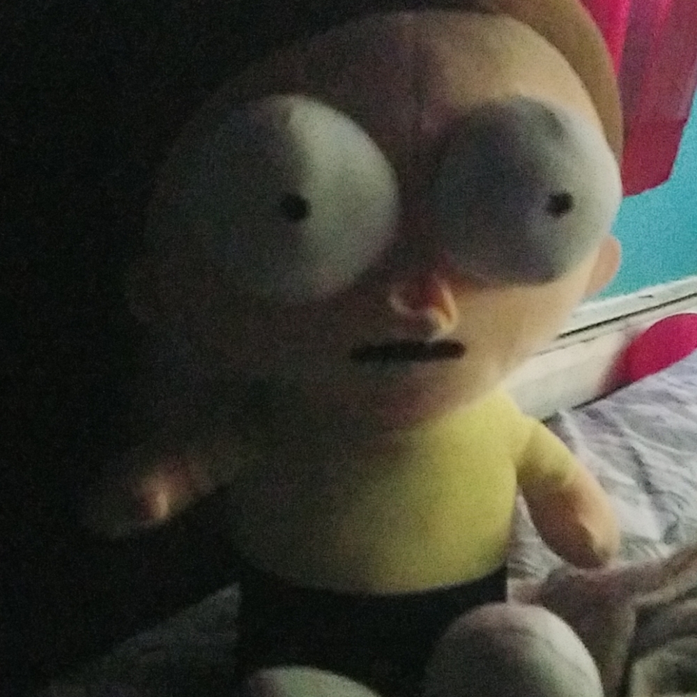 Morty plush
